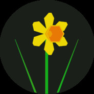 Daffodil&friends